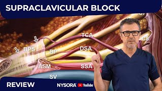 Supraclavicular Block WHY HOW WHERE AND WHAT’S NEW [upl. by Abercromby]