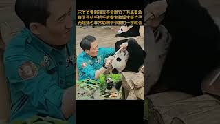 Grandpa Song was a little anxious when he saw the video of Fu Bao [upl. by Ahsein]