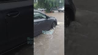 Incessant Rain in Sector 19  HUDA Plots Panchkula 11th August 2024  Heavy Rain in PKL Haryana [upl. by Dazhahs]