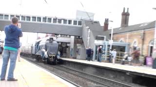 4464 Bittern 90 MPH Run at Newark Northgate 29th June 2013 [upl. by Nika]