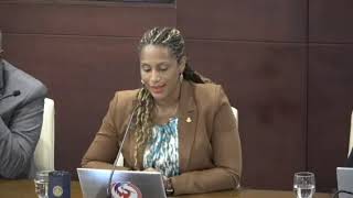 Video 11 Parliament St Maarten SXM continuation central committee 06 JudithRoumouStMaartenNews [upl. by Akeemat]