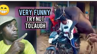 😂 2 Craziest Funniest Moments Ever Recorded On Earthfunny funnyvideos failarmy [upl. by Christyna]