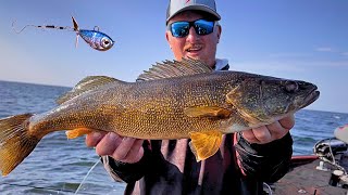 Catching Big Green Bay Walleyes with NWT PRO Max Wilson [upl. by Enair401]