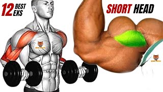 TOP 12 SHORT HEAD BICEPS WORKOUT TO GET WIDE ARMS AT GYM [upl. by Haerle651]