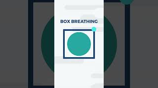 Box Breathing 4444  Paced Breathing  Dialectical Behavioral Therapy DBT  Distress Tolerance [upl. by Nylesoy]