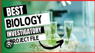 project file on morphology and antomy of frog investigatory project biology class 11 th [upl. by Yonita]