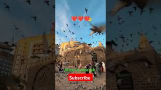 amjad sabri naat subscribe makkah haram sharif [upl. by Nospmis]