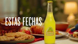 Las posadas son mejores con Jarritos [upl. by Nevins]