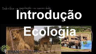 Introdução Ecologia  Ecologia  Biologia  Khan Academy [upl. by Han]