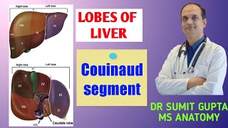 LOBES OF LIVER amp Couinaud segment [upl. by Aiza]