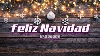 FELIZ NAVIDAD  REMIX DJ QUEENS [upl. by Demodena190]