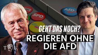 Regieren ohne die AfD Geht das noch Fällt die Brandmauer  Interview mit Prof Jürgen Falter [upl. by Sergent]