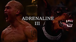 ADRENALINE III [upl. by Reivilo888]