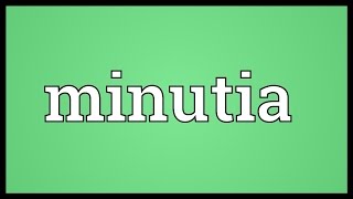 Minutia Meaning [upl. by Fish960]