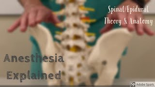 Spinal Epidural Anatomy and Theory [upl. by Renee589]