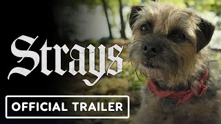 Strays  Official Red Band Trailer 2 2023 Will Ferrell Will Forte Jamie Foxx Randall Park [upl. by Eelidnarb367]