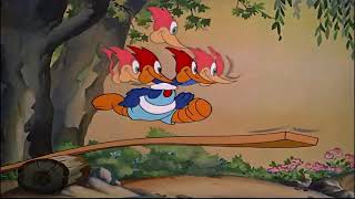 Woody Woodpecker Pantry Panic 1941 [upl. by Oisacin320]