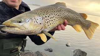 Finding Some BIG Trout At Wurdiboluc Reservoir [upl. by Nolaf253]