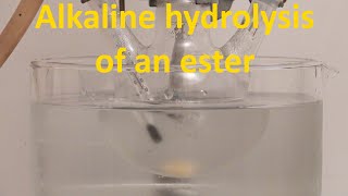 Alkaline hydrolysis of methyl acetate Alkaline hydrolysis of esters [upl. by Calvin]