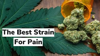 Find Your Best Strain for Pain  Discover Marijuana [upl. by Seuqram]