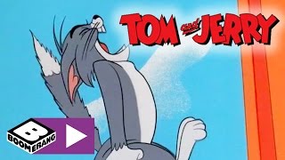 Tom amp Jerry  Cat Suit  Boomerang UK [upl. by Vanhomrigh681]