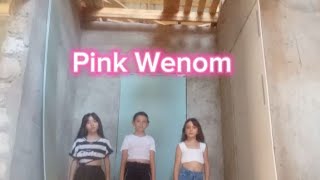 Blackpink Pink Venom dance practice [upl. by Ahker342]