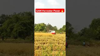 Gam Harvester cropping [upl. by Burger21]