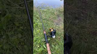 THIS SOUND WILL GIVE YOU GOOSEBUMPS goosebumps shimano fishing [upl. by Aceber289]