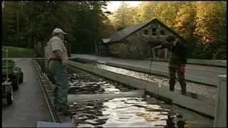 Walhalla State Fish Hatchery [upl. by Solita]