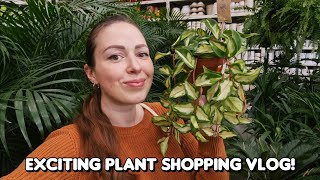 You wont believe Hoya prices in this store Plant shopping vlog🧋🌿 [upl. by Tigges]