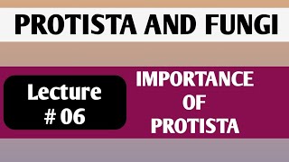 ECONOMIC IMPORTANCE OF PROTISTA  PROTOZOA  ALGAE [upl. by Ferneau284]