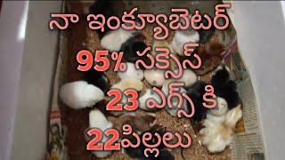 Home made incubator teluguincubator in kakinada [upl. by Audwin]