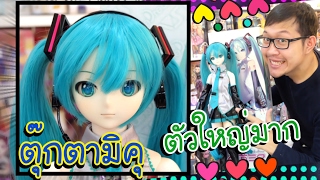 ตุ๊กตา มิคุ Dollfie Dream VOLK Hatsune MIKU  PONYTHSHOP LIVE EP 156 [upl. by Kelley]