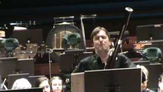 RStrauss Duet Concertino Bassoon soloRoman Reznik [upl. by Ahsercul]