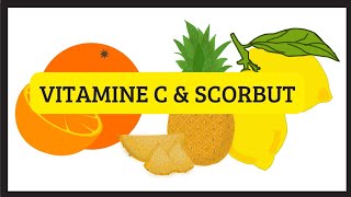 Vitamine C et SCORBUT  signes et un peu dhistoire [upl. by Raymonds]