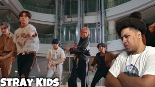 THEY PRODUCED THIS  Stray Kids quotBack Doorquot MV Reaction [upl. by Ycnahc933]