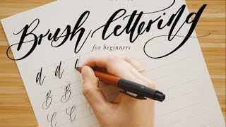 How to Calligraphy amp Brush Lettering Guide for Beginners  Free Calligraphy Practice Sheets [upl. by Yanaj663]