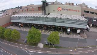 FloraHolland Naaldwijk Westland [upl. by Immat738]