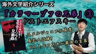 【海外文学紹介「カラマーゾフの兄弟」③ドストエフスキー】 [upl. by Droffig]