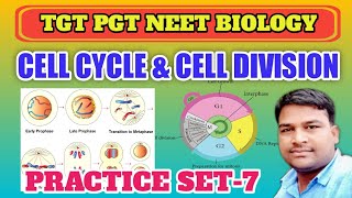 Cell cycle amp Cell division Important Questions  TGT PGT NEET BIOLOGY  कोशिका विभाजन व चक्र [upl. by Brathwaite709]