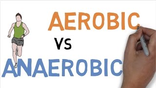 AEROBIC vs ANAEROBIC DIFFERENCE [upl. by Anilasor138]