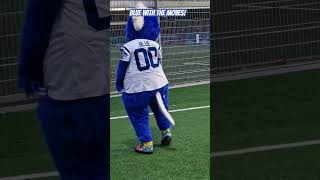 Colts mascot BLUE with the moves [upl. by Derfniw]