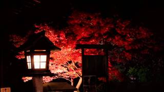 Autumn Night in the Shinsenen Kyoto 【HD】 [upl. by Lledyr877]