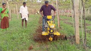 power weeder saamy 1000lr2 [upl. by Matheson484]