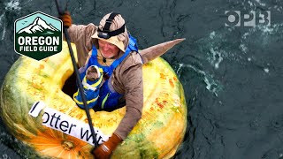 West Coast Giant Pumpkin Regatta  Oregon Field Guide [upl. by Ileak654]