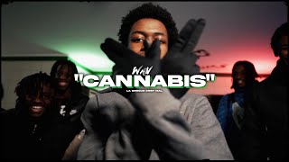 WaïV  Cannabis Clip officiel [upl. by Elatnahc884]