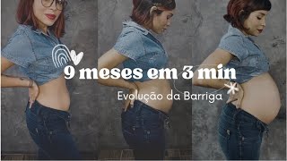 Evolução da Minha Barriga  Gravidez Semana a Semana [upl. by Aiouqes]