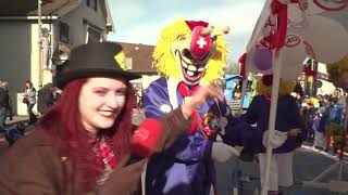 Fasnacht Oberwil 2019 [upl. by Cesar]