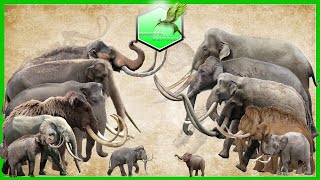 Elephants and Mammoths Size Comparison LİVİNG EXTİNCT [upl. by Maurilla]