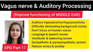 Vagus nerve amp Auditory Processingactivate parasympathetic nervous systemactivate middle eaR [upl. by Iztim148]